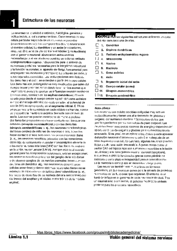 Miniatura del documento LAMINAS-OBLIGATORIAS-psicobiologia.pdf