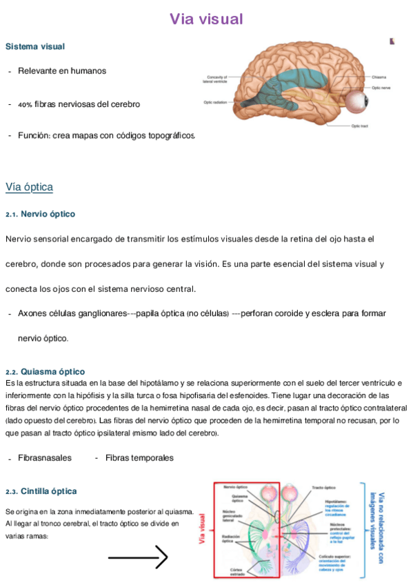 Miniatura del documento Via-visual-I.pdf