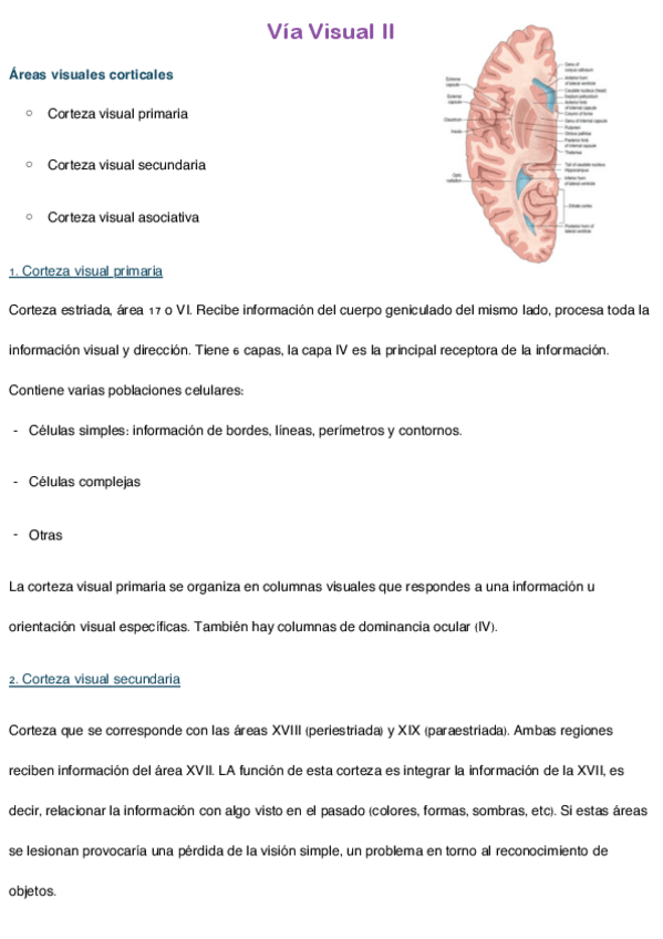 Miniatura del documento Via-visual-II.pdf