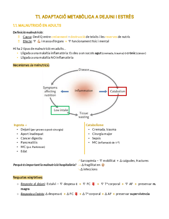 Miniatura del documento NUTRI HOSPI SENCER.pdf