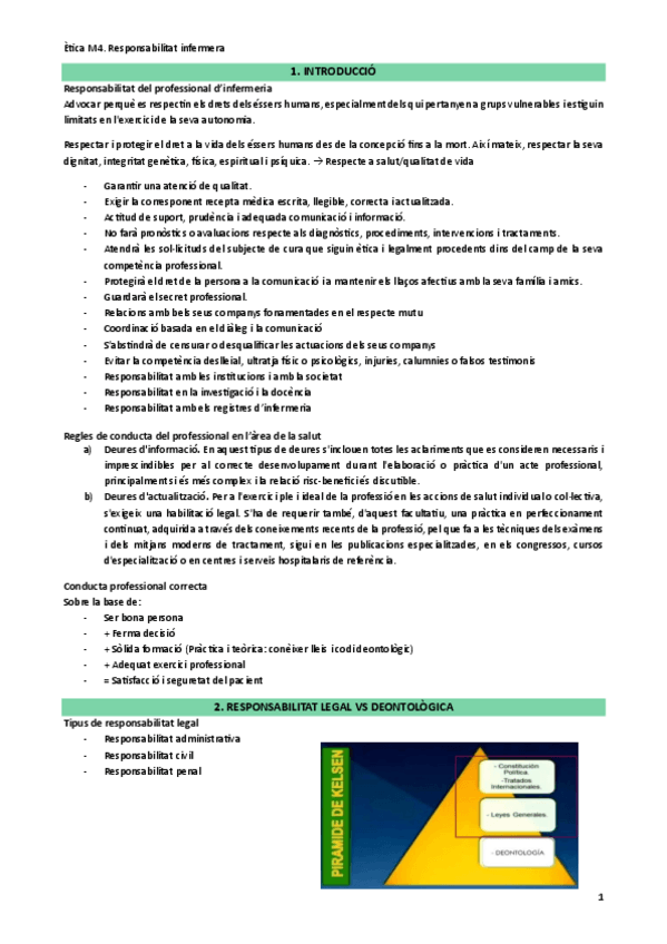 Miniatura del documento M4.-Responsabilitat-Infermera.pdf