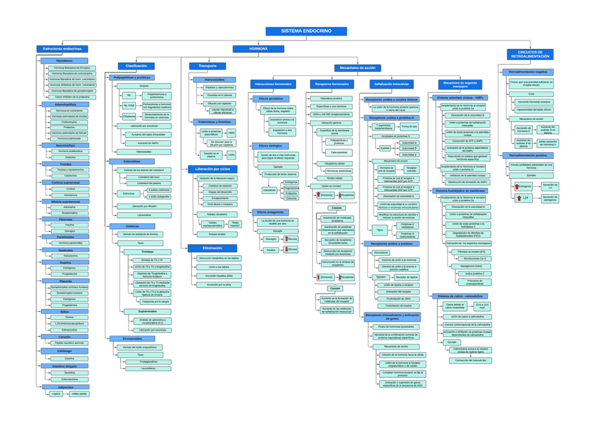 Miniatura del documento OV-Semana-11Sistema-endocrino.pdf