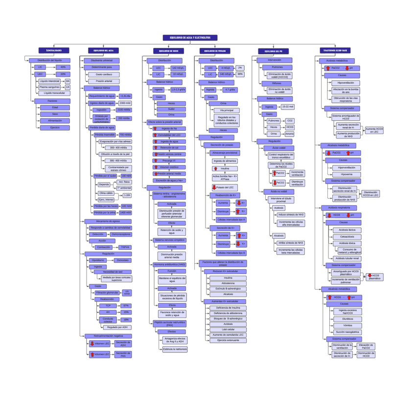 Miniatura del documento OV-sem-15BALANCE-HIDRICO.pdf