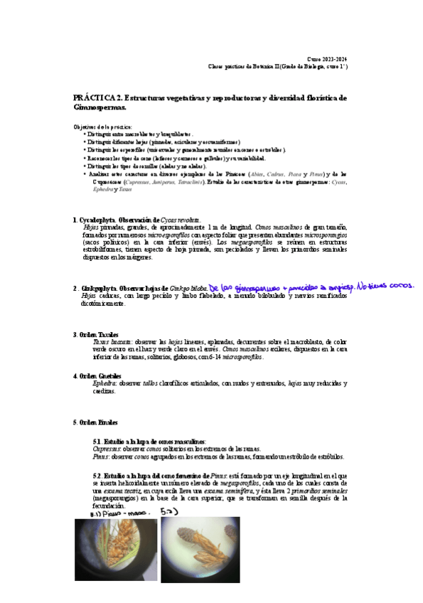 Miniatura del documento Practica-2-gimnospermas.pdf