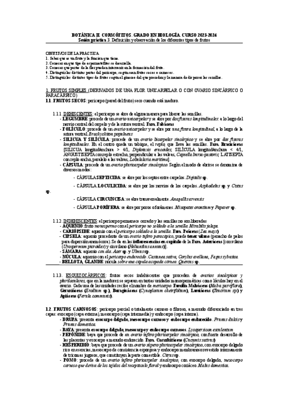 Miniatura del documento practica-3.pdf