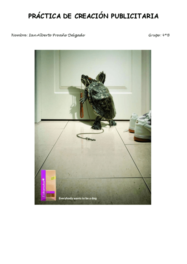 Miniatura del documento Creacion-publicitaria-Practica-1.pdf