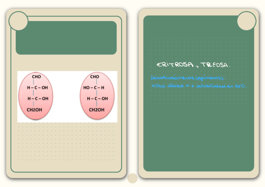 Miniatura del documento carbohidratos.pdf