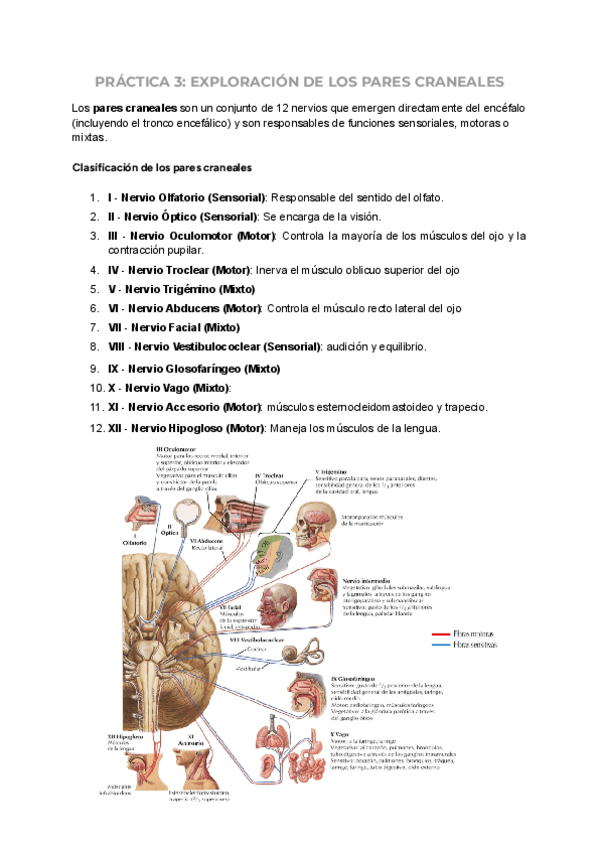 Miniatura del documento PRACTICA-3.pdf