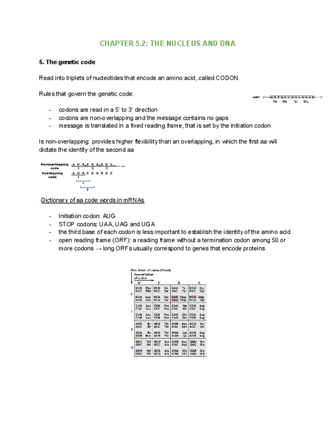 Miniatura del documento CHAPTER-5.2.pdf