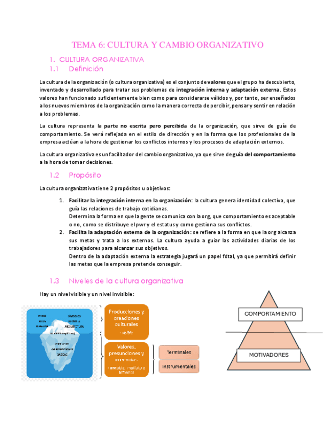 Miniatura del documento Tema-6-Cultura-y-Cambio-organizativo.pdf