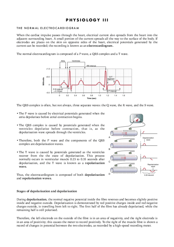 Miniatura del documento Physio-III.-Cardio3..pdf