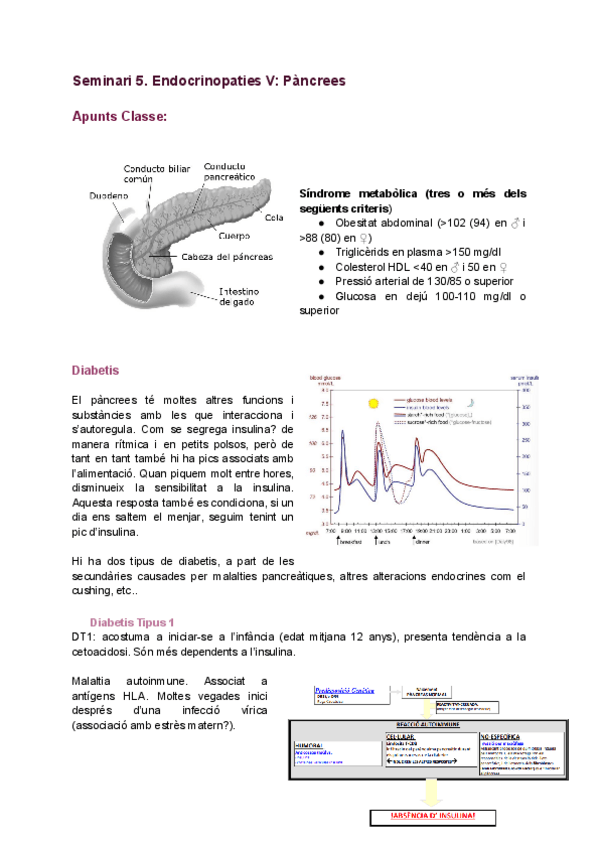 Miniatura del documento Seminari-5.-Endocrinopaties-V-Pancrees APUNTS, CASOS, INFO I ACTA.pdf