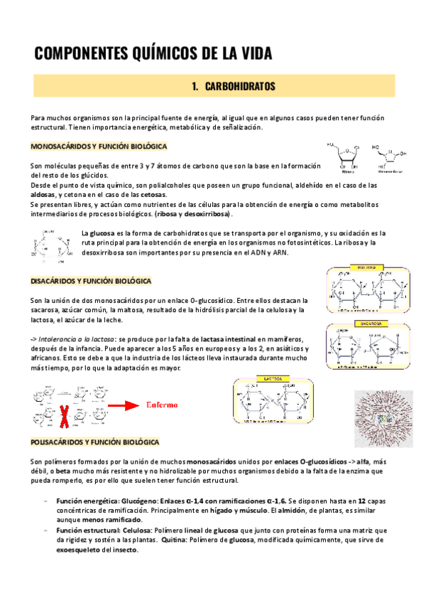 Miniatura del documento TEMA-2-BIOQUIMICA-1.pdf