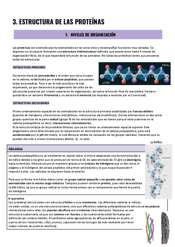 Miniatura del documento TEMA-3-BIOQUIMICA.pdf