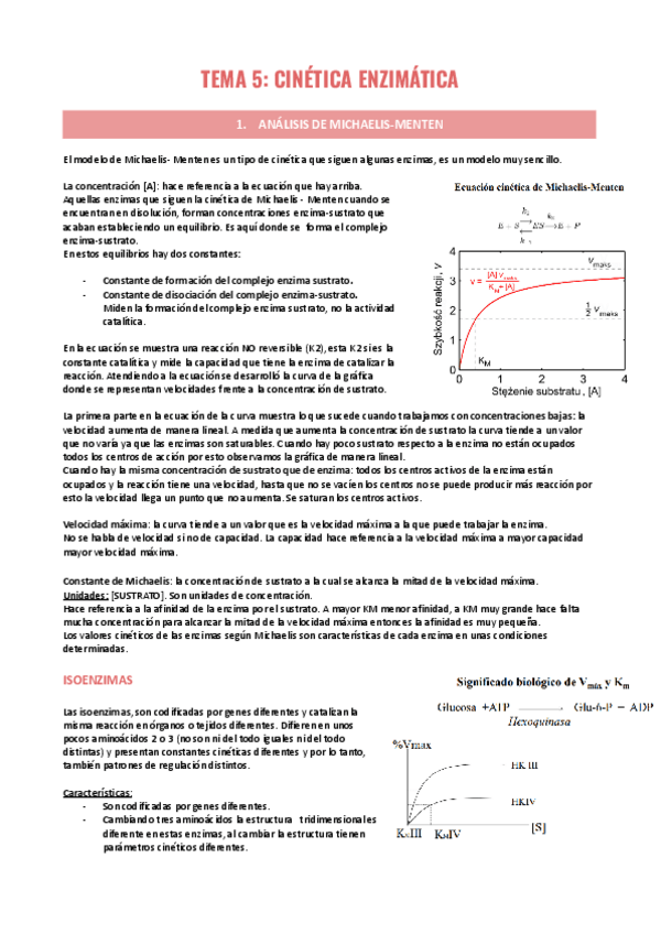 Miniatura del documento Tema-5-CINETICA-ENZIMATICA.pdf