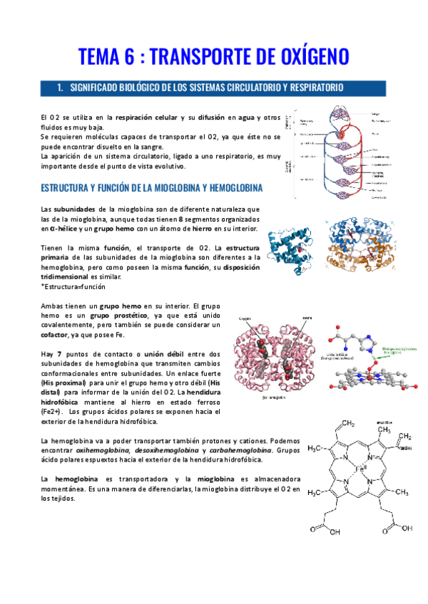 Miniatura del documento TEMA-6.pdf