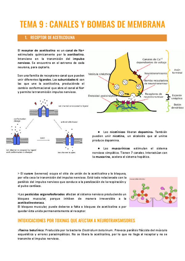 Miniatura del documento TEMA-9.pdf
