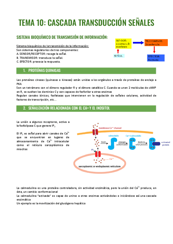 Miniatura del documento TEMA-10.pdf