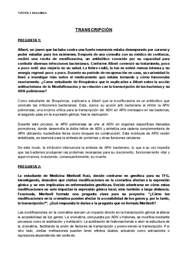 Miniatura del documento TUTORIA-TRANSCRIPCION.pdf