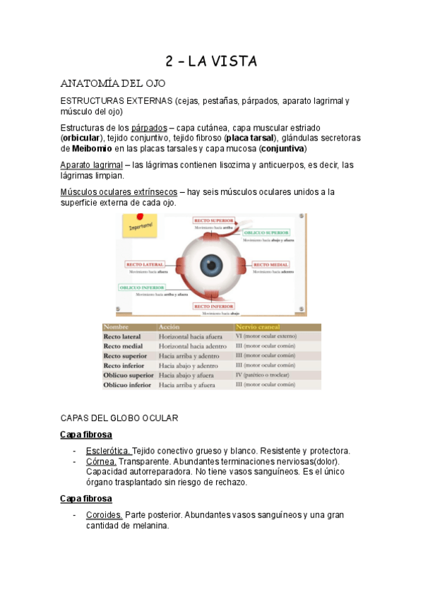 Miniatura del documento 2-la-vista.pdf