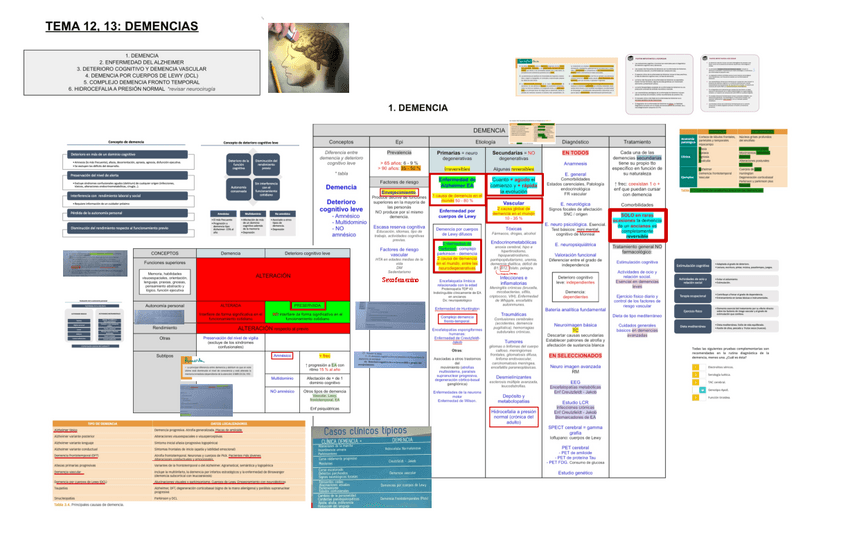 Miniatura del documento 12-13.-DEMENCIAS.pdf