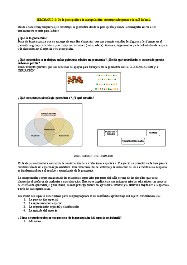 Miniatura del documento SEMINARIO-2-De-la-percepcion-a-la-manipulacion-construyendo-geometria-en-E.pdf