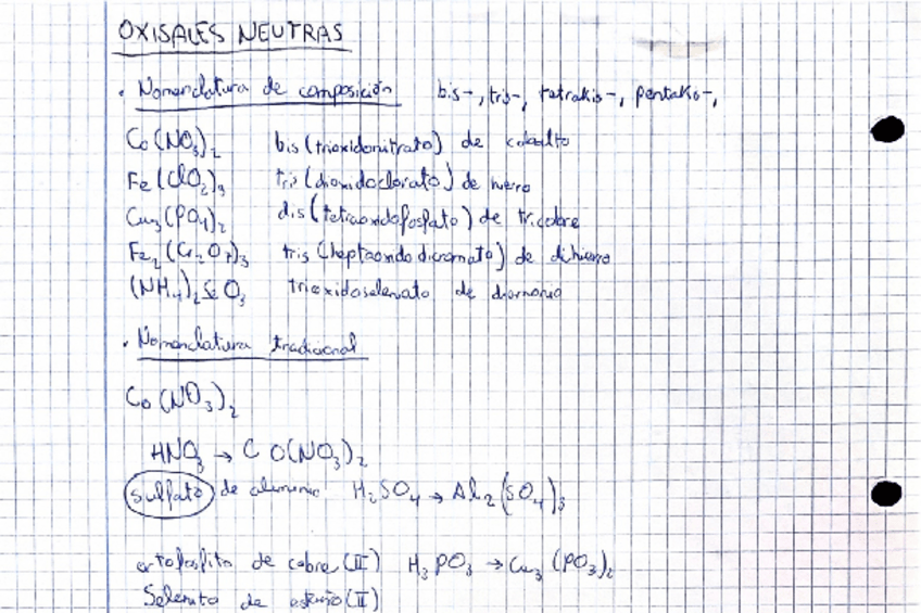 Miniatura del documento OXISALES-neutras-y-acidas.pdf