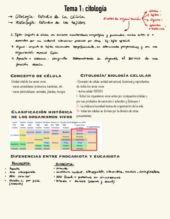 Miniatura del documento citologia-y-Epitelio.pdf