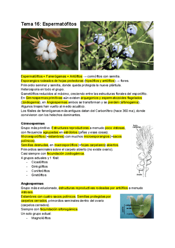 Miniatura del documento Tema-16-Espermatofitos.pdf