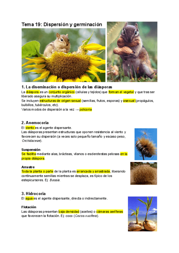 Miniatura del documento Tema-19-Dispersion-y-germinacion.pdf