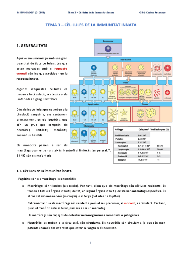Miniatura del documento Tema-3-Cellules-de-la-immunitat-innata.pdf
