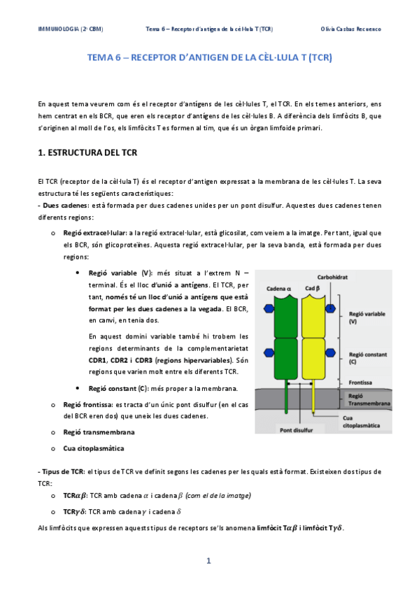 Miniatura del documento Tema-6-Receptor-dantigen-de-la-cellula-T-TCR-1.pdf