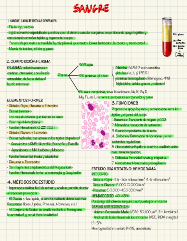 Miniatura del documento Sangre-y-hematopoyesis.pdf