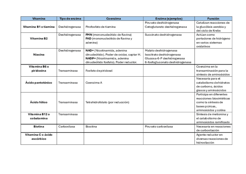 Miniatura del documento Vitaminas-Coenzimas.pdf