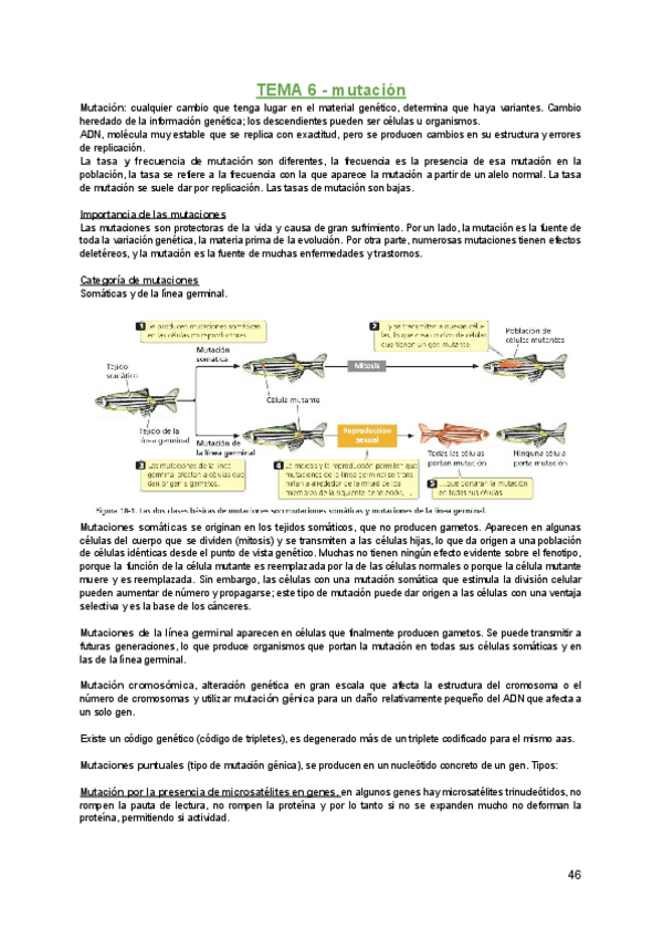 Miniatura del documento Genetica-T-6-.pdf