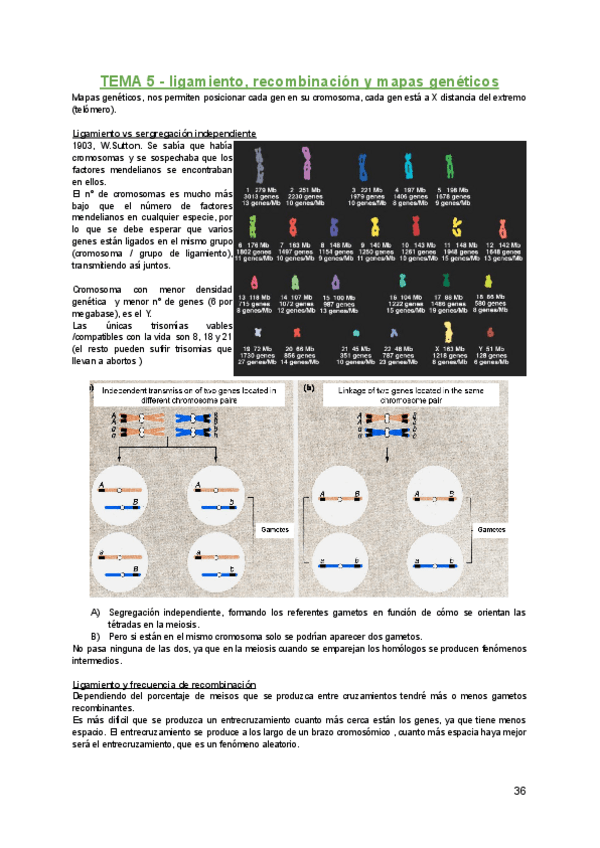 Miniatura del documento Genetica-T-5.pdf