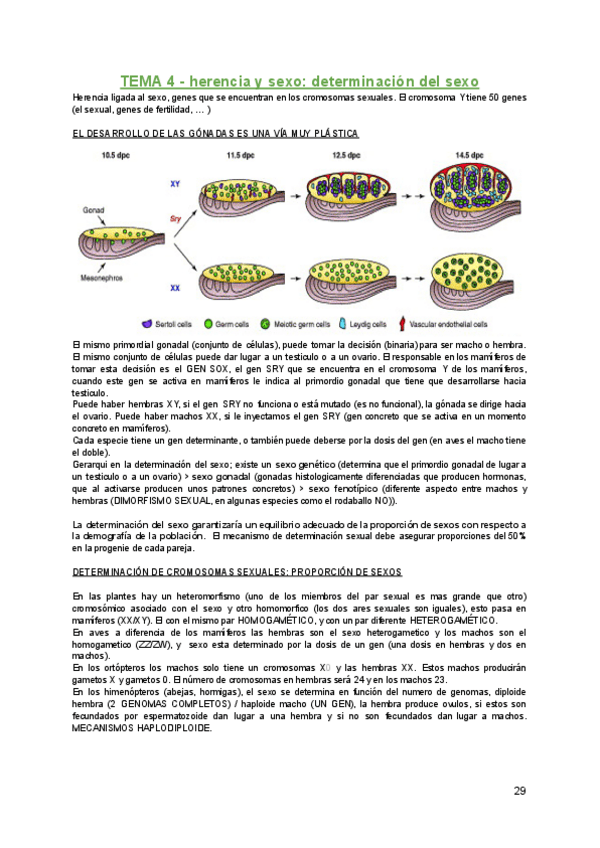 Miniatura del documento Genetica-T-4.pdf