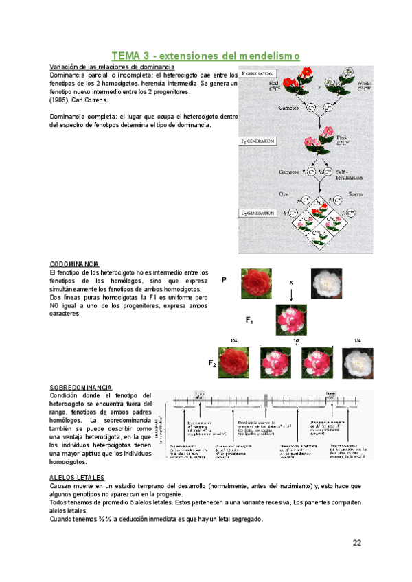 Miniatura del documento Genetica-T-3.pdf