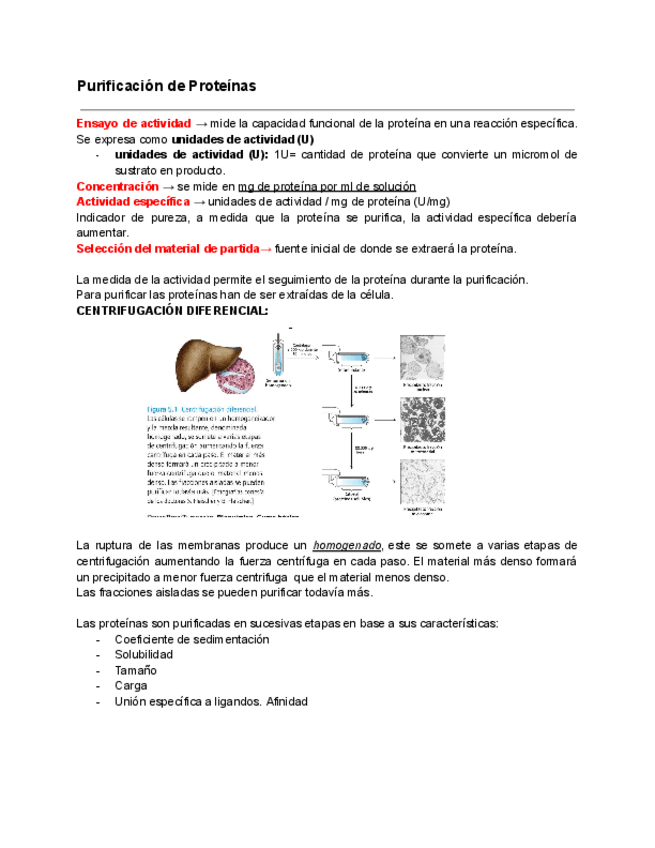 Miniatura del documento seminarios-2n-parcial.pdf