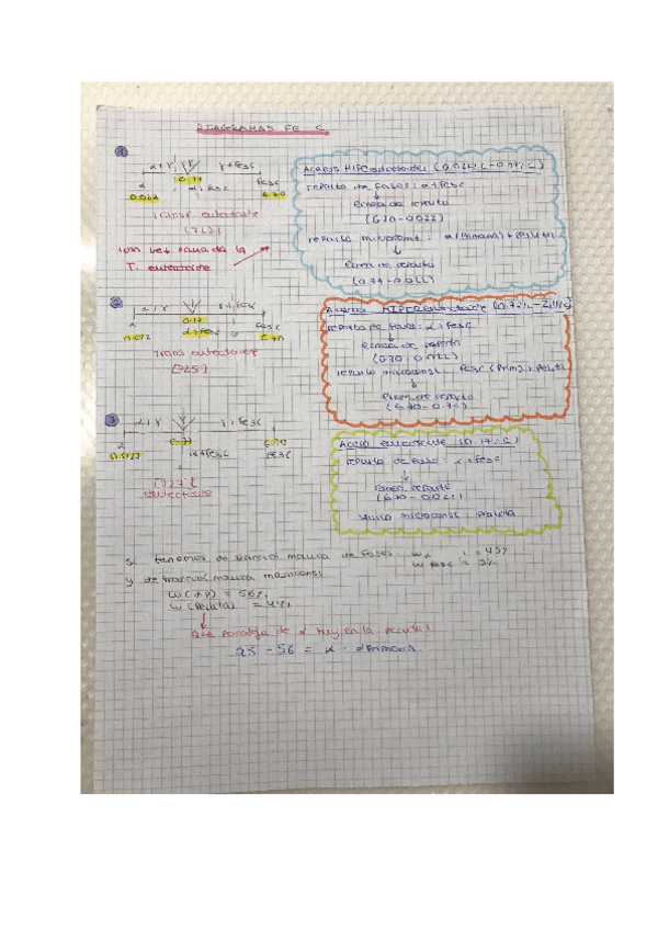 Miniatura del documento RESUMEN-DIAGRAMAS-DE-HIERRO-CARBONOparcial1.pdf