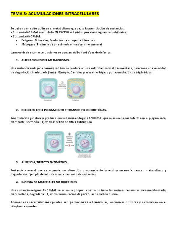 Miniatura del documento T3.-AP.pdf