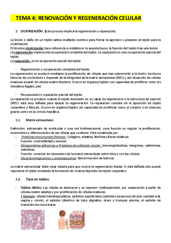 Miniatura del documento T4.-AP.pdf