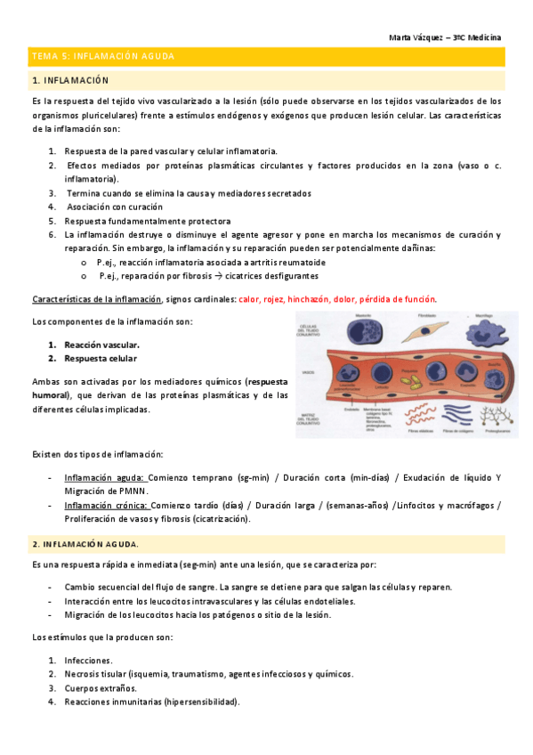 Miniatura del documento T5.-AP.pdf