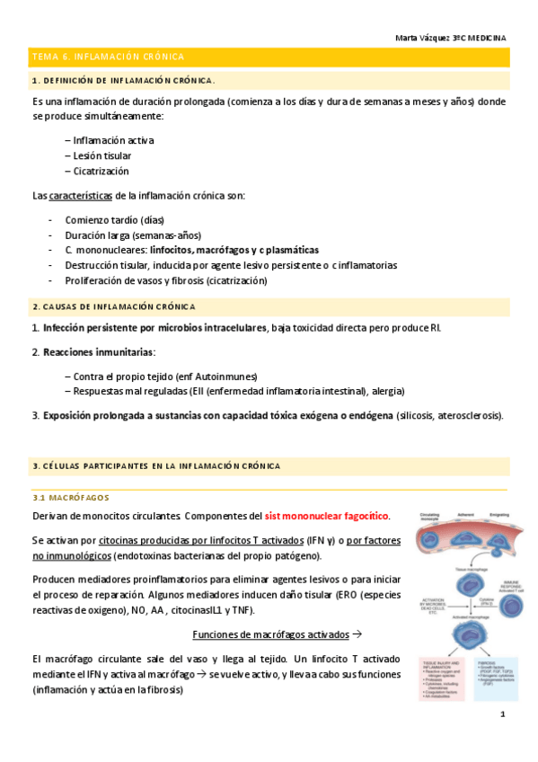 Miniatura del documento T6.-AP.pdf