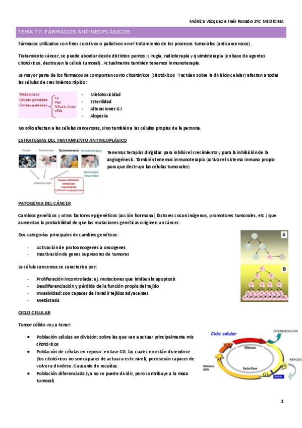 Miniatura del documento T17.-FARMA.pdf