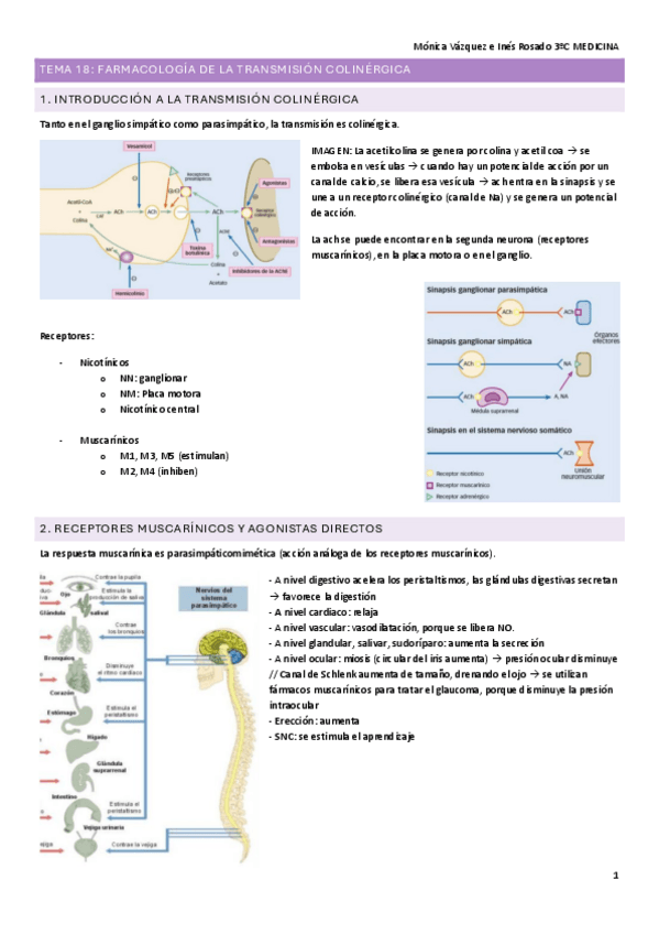 Miniatura del documento T18.-FARMA.pdf