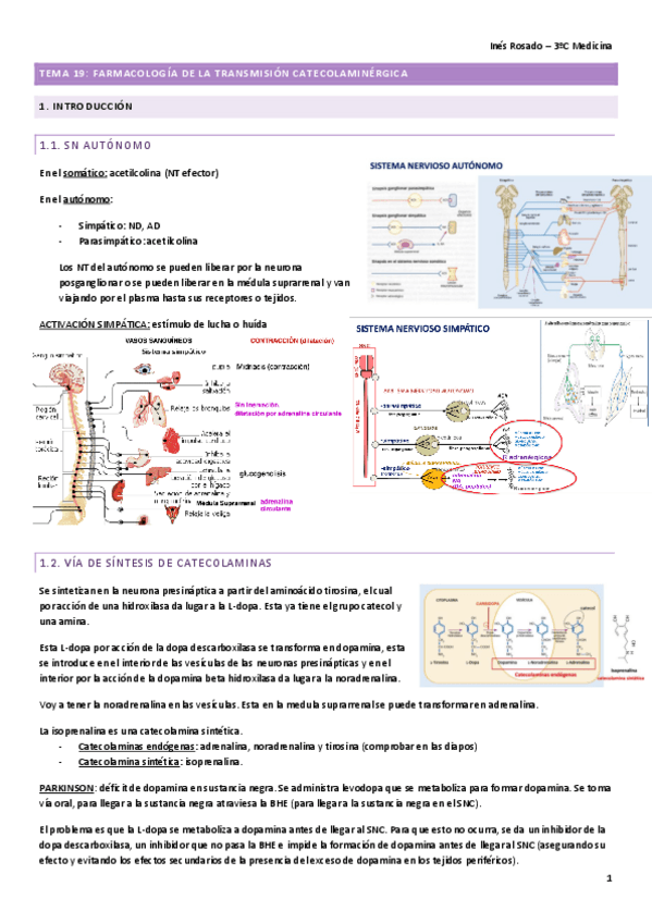 Miniatura del documento T19.-FARMA.pdf