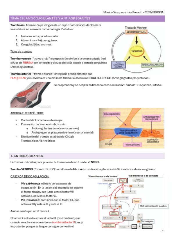 Miniatura del documento T28.-FARMA.pdf