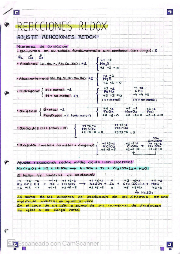 Miniatura del documento Redox.pdf