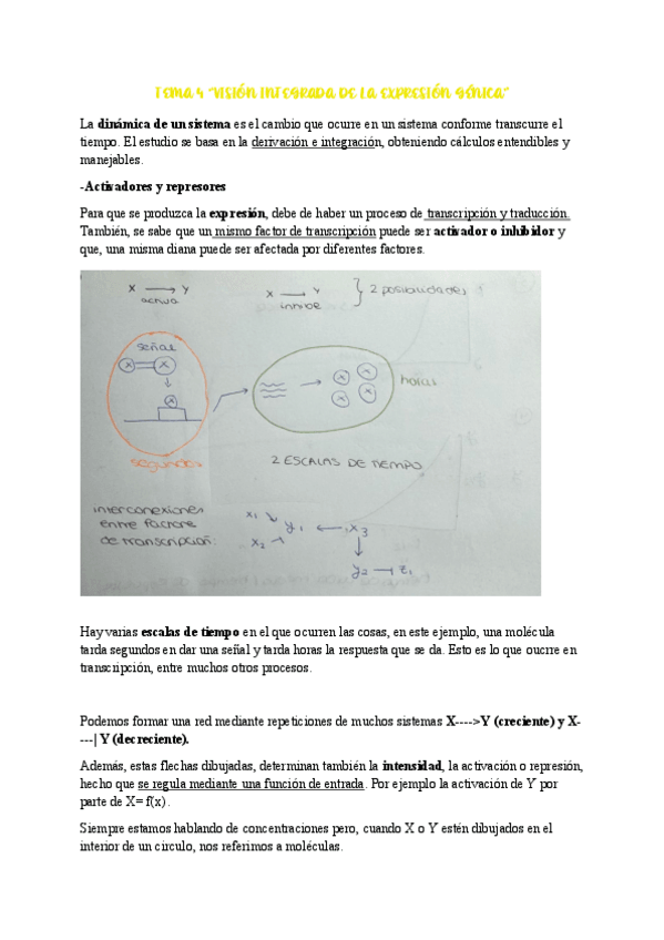 Miniatura del documento Tema-4.pdf